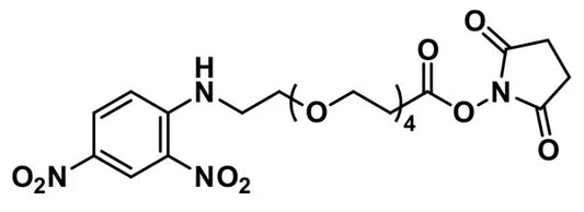 DNP-dPEG®₄-NHS ester - 1000 mg