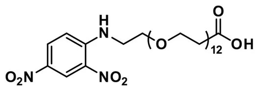 DNP-dPEG®₁₂-acid - 1000 mg