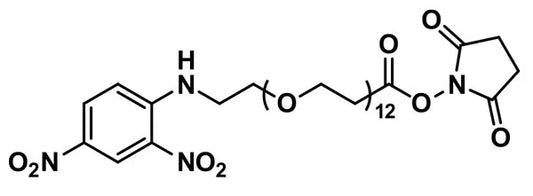 DNP-dPEG®₁₂-NHS ester - 100 mg