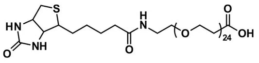dPEG®₂₄-biotin acid - 1000 mg