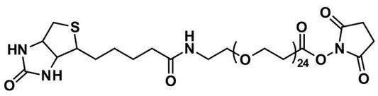 NHS-dPEG®₂₄-biotin - 50 mg