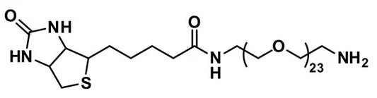 Biotin-dPEG®₂₃-NH₂ - 1000 mg