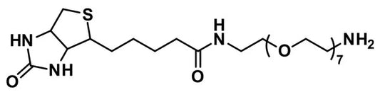 Biotin-dPEG®₇-NH₂ - 1000 mg