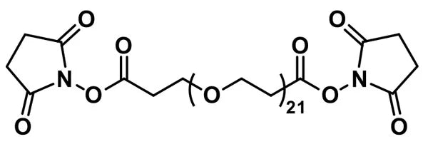 Bis-dPEG®₂₁-NHS ester - 1000 mg