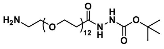Amino-dPEG®₁₂-t-boc-hydrazide - 1000 mg
