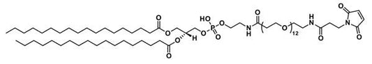 MAL-dPEG®₁₂-DSPE - 25 mg