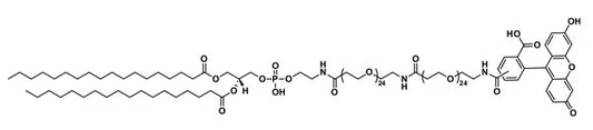 Carboxyfluorescein-dPEG®₂₄-amido-dPEG®₂₄-DSPE - 5 mg