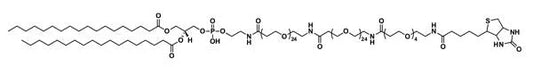 Biotin-dPEG®₄-amido-dPEG®₂₄-amido-dPEG®₂₄-DSPE - 25 mg