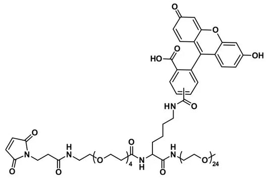MAL-dPEG®₄-Lys(-5(6)-Carboxyfluorescein)-NH-m-dPEG®₂₄ - 5 mg