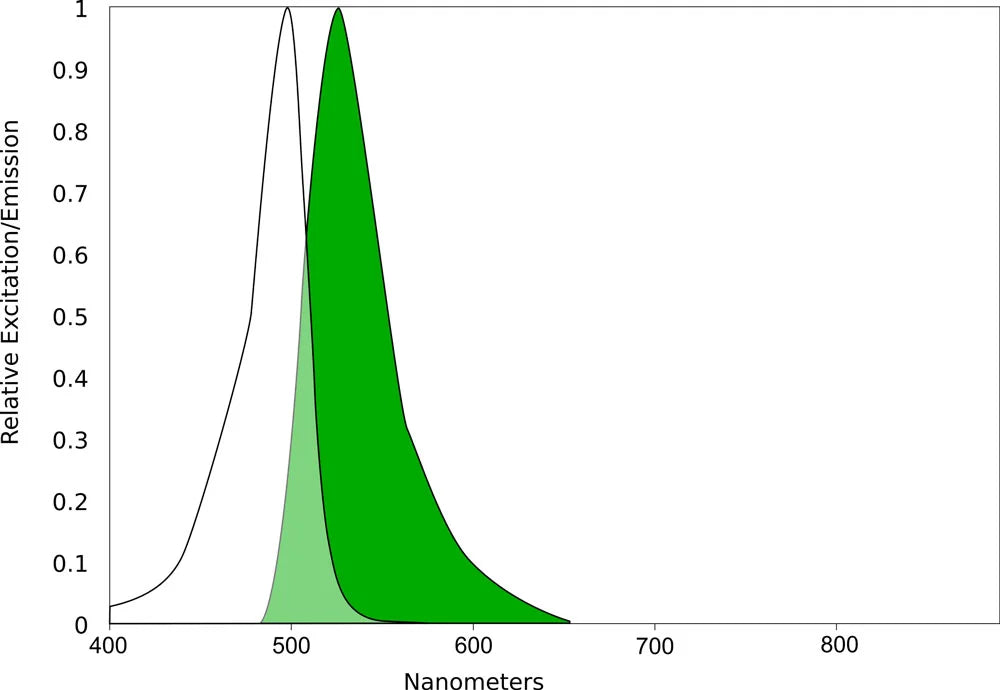 ***AQuora® Fluorescein-Maleimide - 1 mg