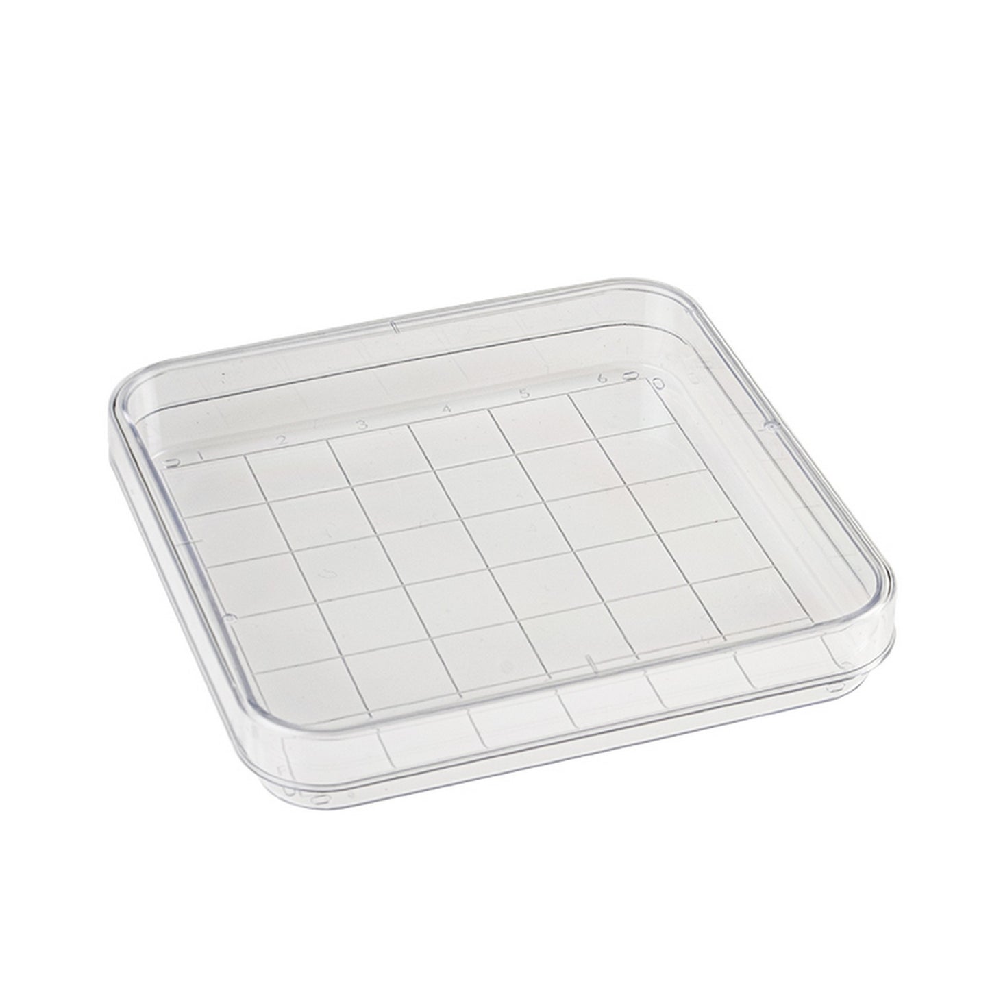 Square Petri Dish with Grid