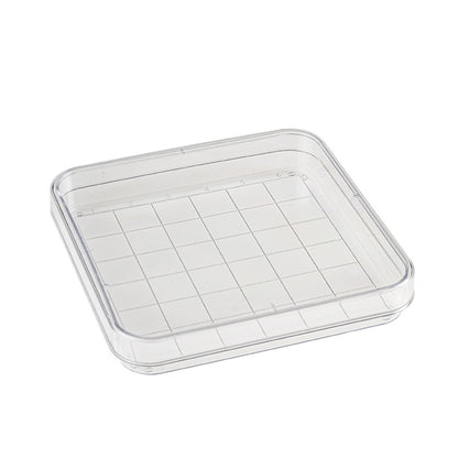 Square Petri Dish with Grid