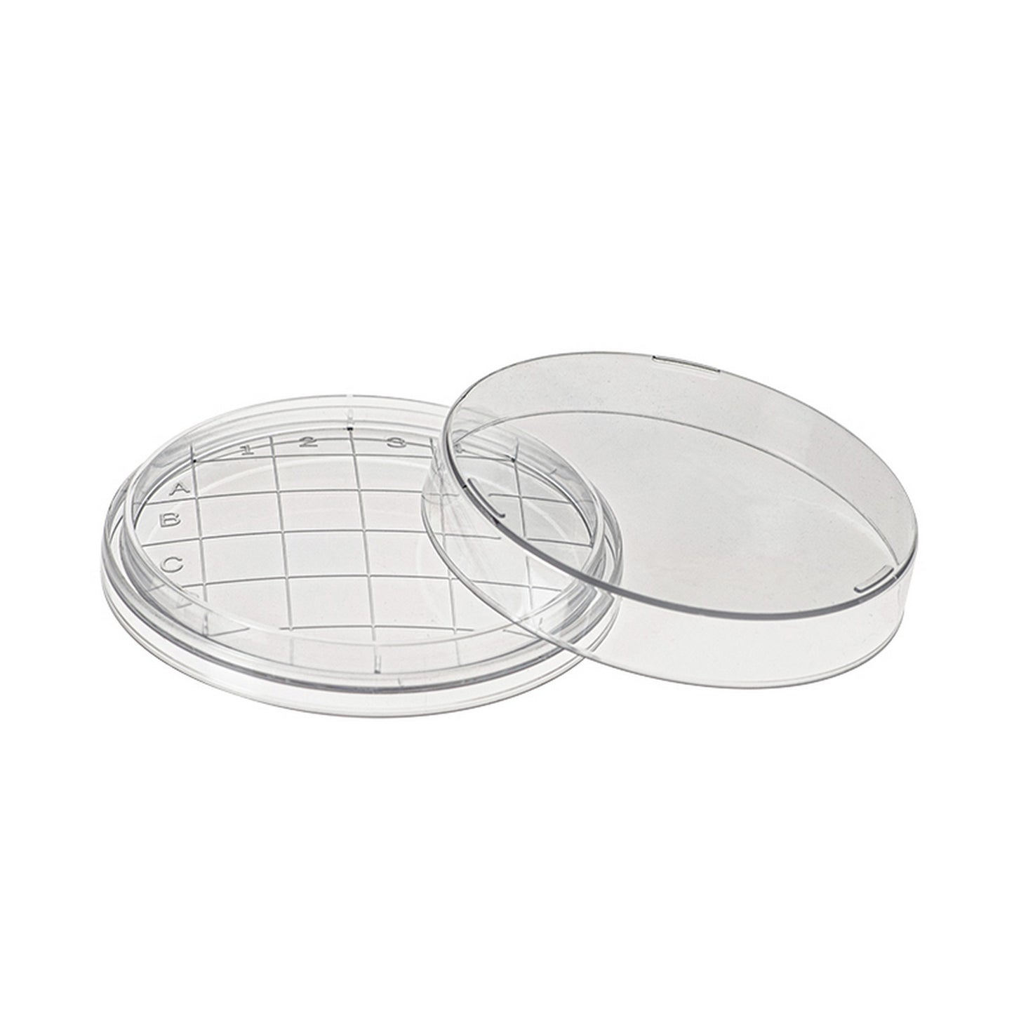 Contact plate, Convex bottom