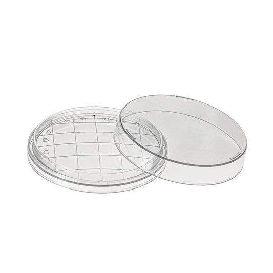 Contact plate, Convex bottom