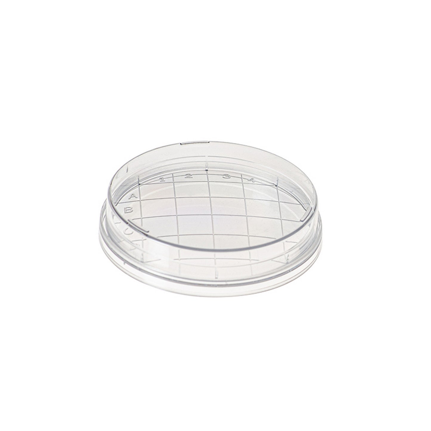 Contact plate, Convex bottom