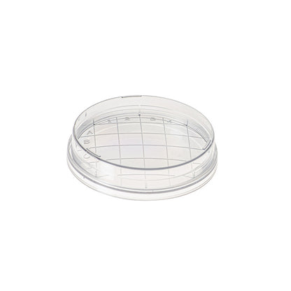 Contact plate, Convex bottom