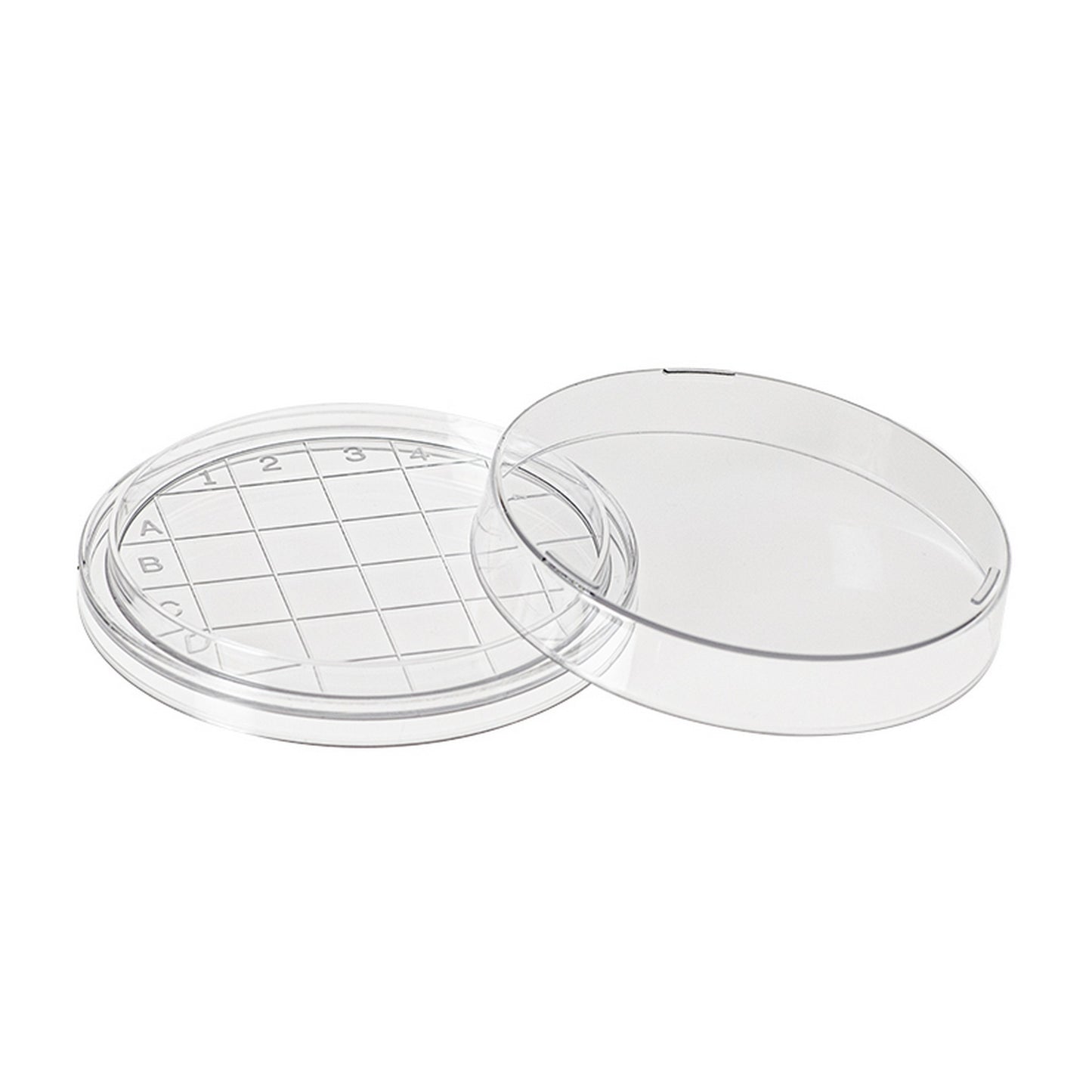Contact plate, Flat bottom