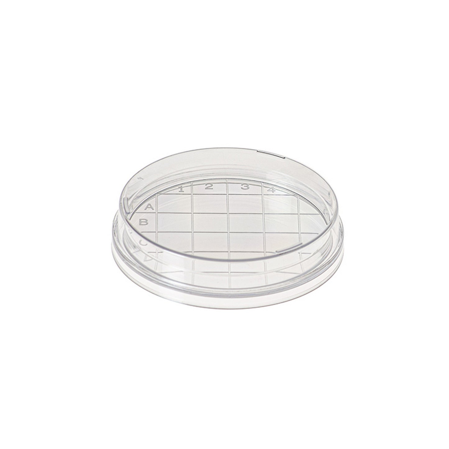 Contact plate, Flat bottom