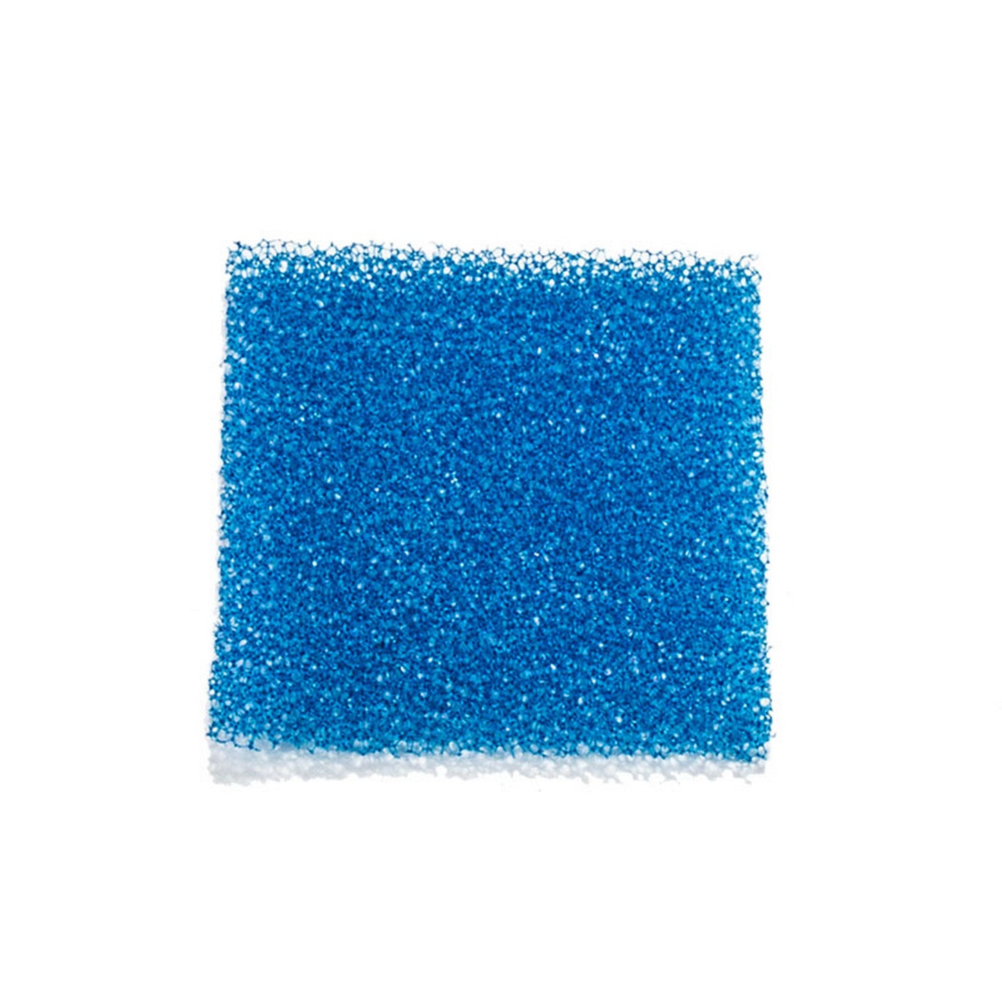 Biopsy foam pads : Biopsy Foam Pads - Cassettes