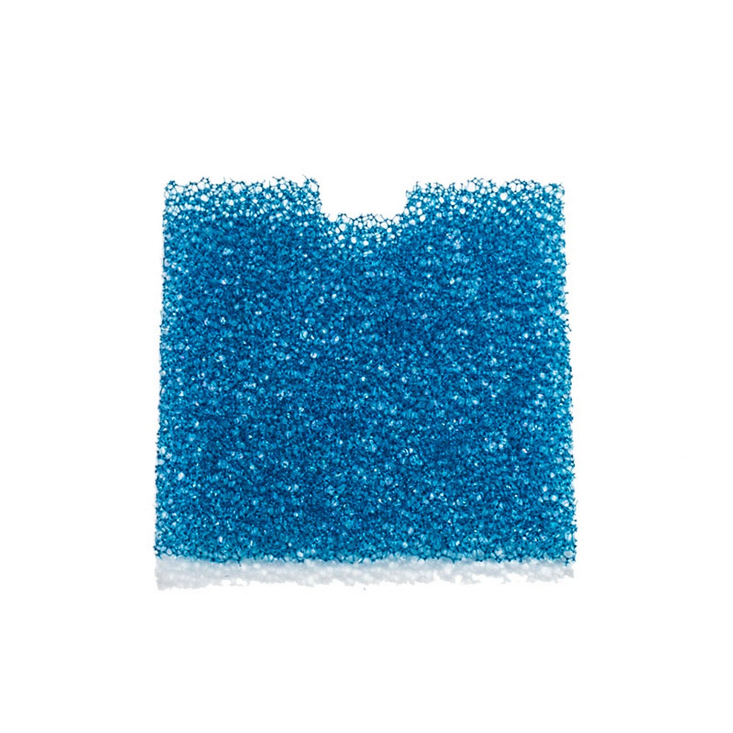 Biopsy foam pads : Biopsy Foam Pads - Histosette® II