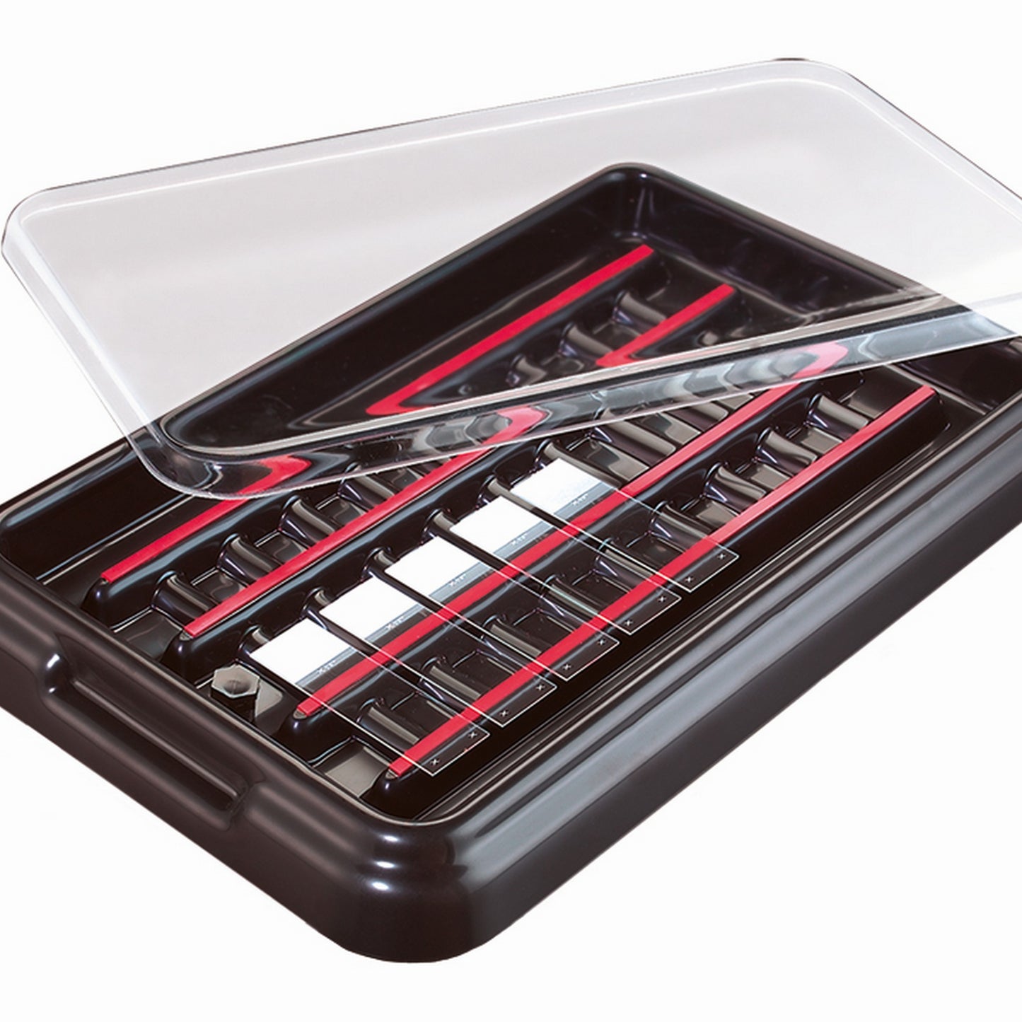 StainTray™ 20 slides staining system, Base with clear lid