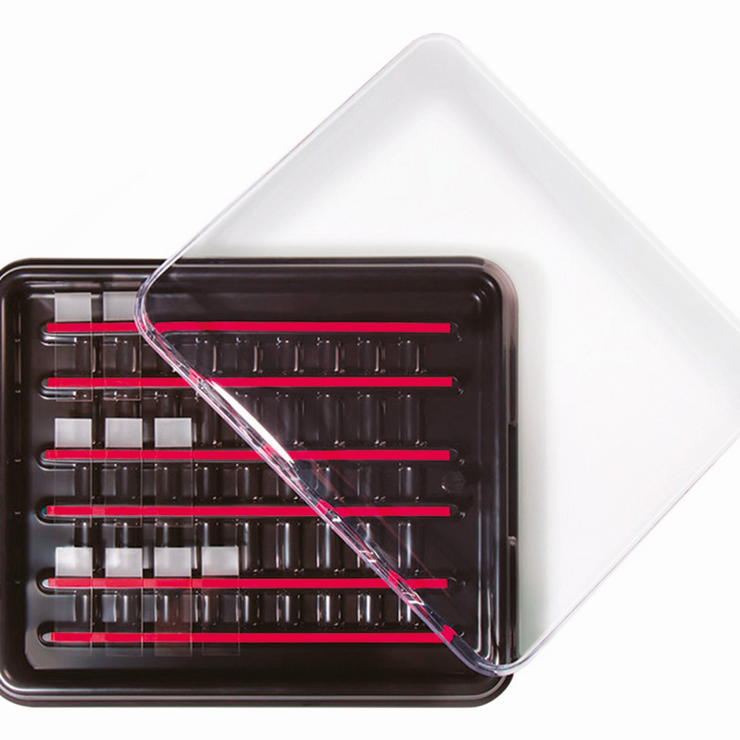StainTray™ 30 slides staining system, Base with clear lid