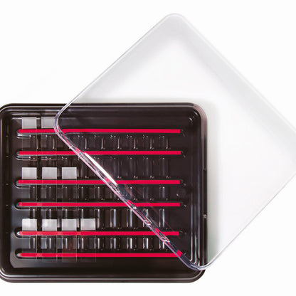 StainTray™ 30 slides staining system, Base with clear lid