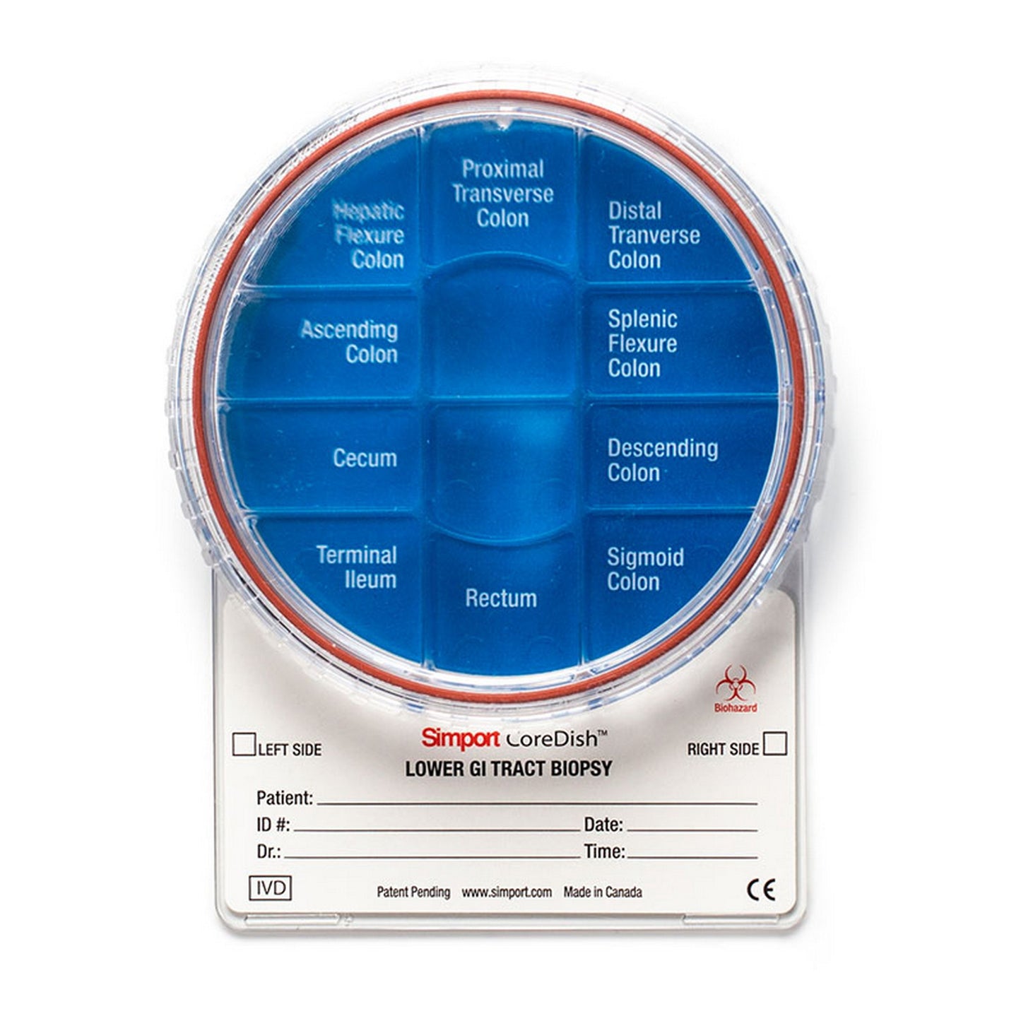 CoreDish®  GI tract biopsy container : Compartments - Lower GI Tract 12 compartments, No Formalin