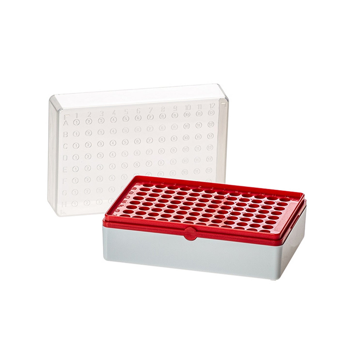 BioTube™ Grid Plate : Grid Plate Color - Red