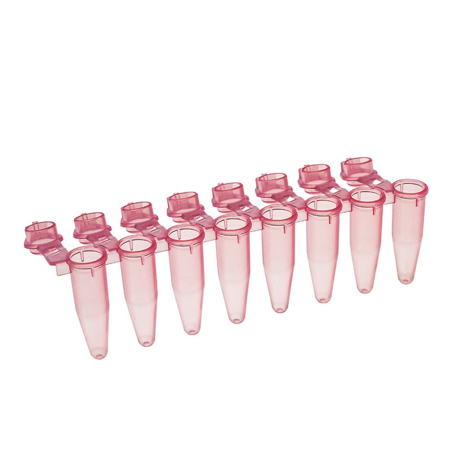 Amplitube™  8 tube strips with individually attached caps : Caps - Domed, Tube Colors - Red