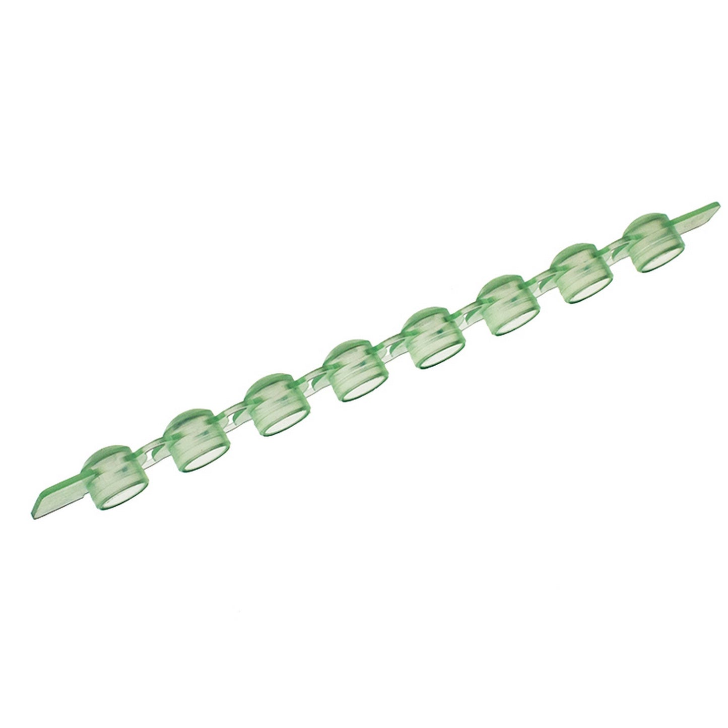 Amplitube™ 8 cap strips : Cap Colors - Green, Caps - Domed