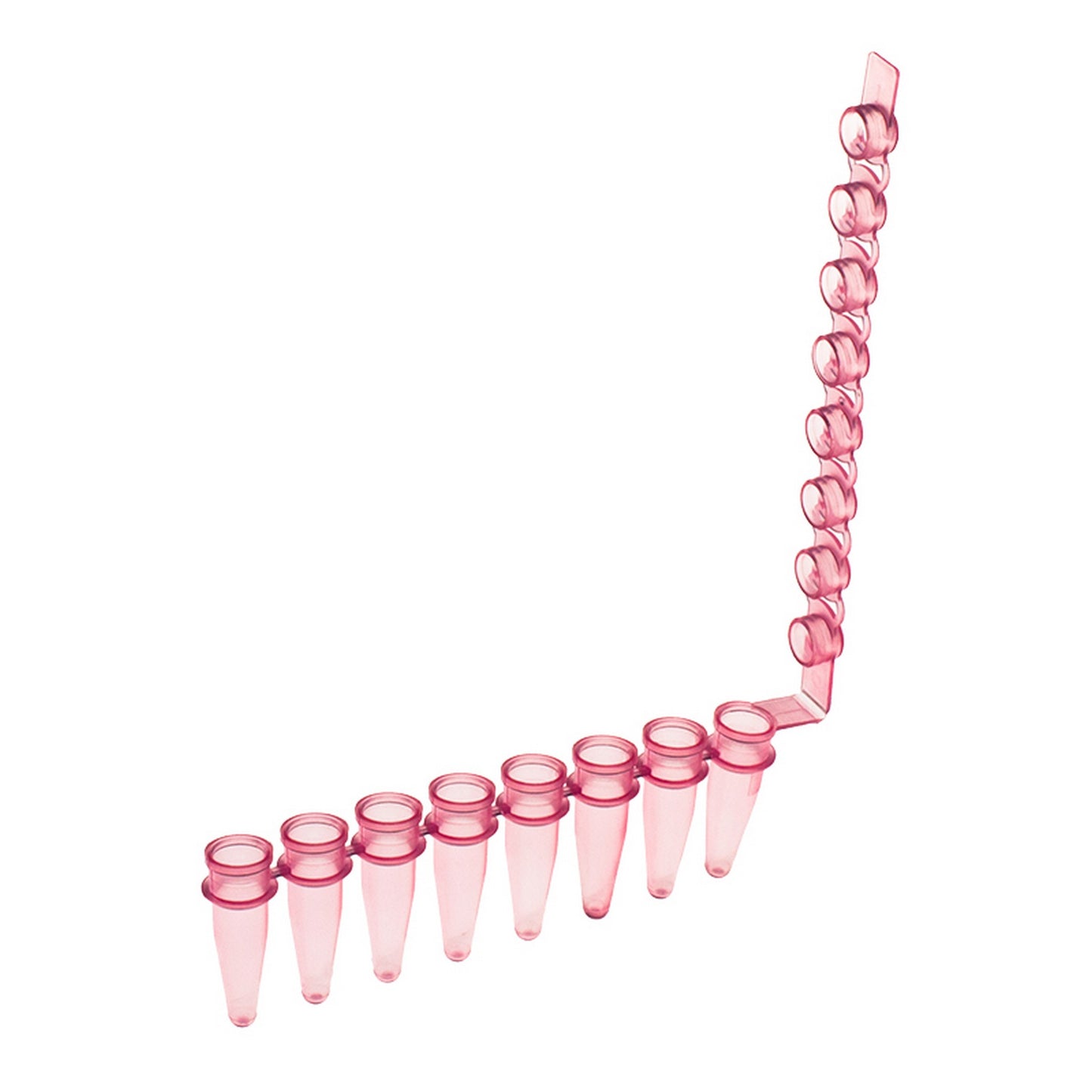 Amplitube™ 8 tube strips with domed cap, Red