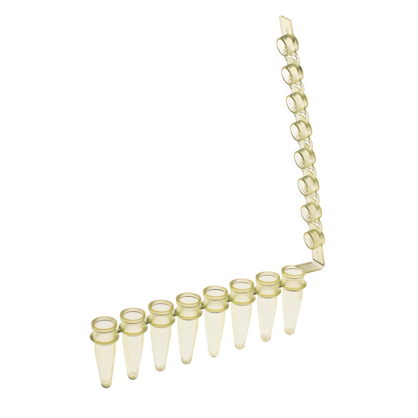 Amplitube™ 8 tube strips with domed cap, Yellow