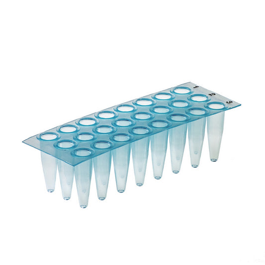 AMPLATE™ Thin wall PCR plates (non-skirted) : Plate Colors - Blue, Wells - 24