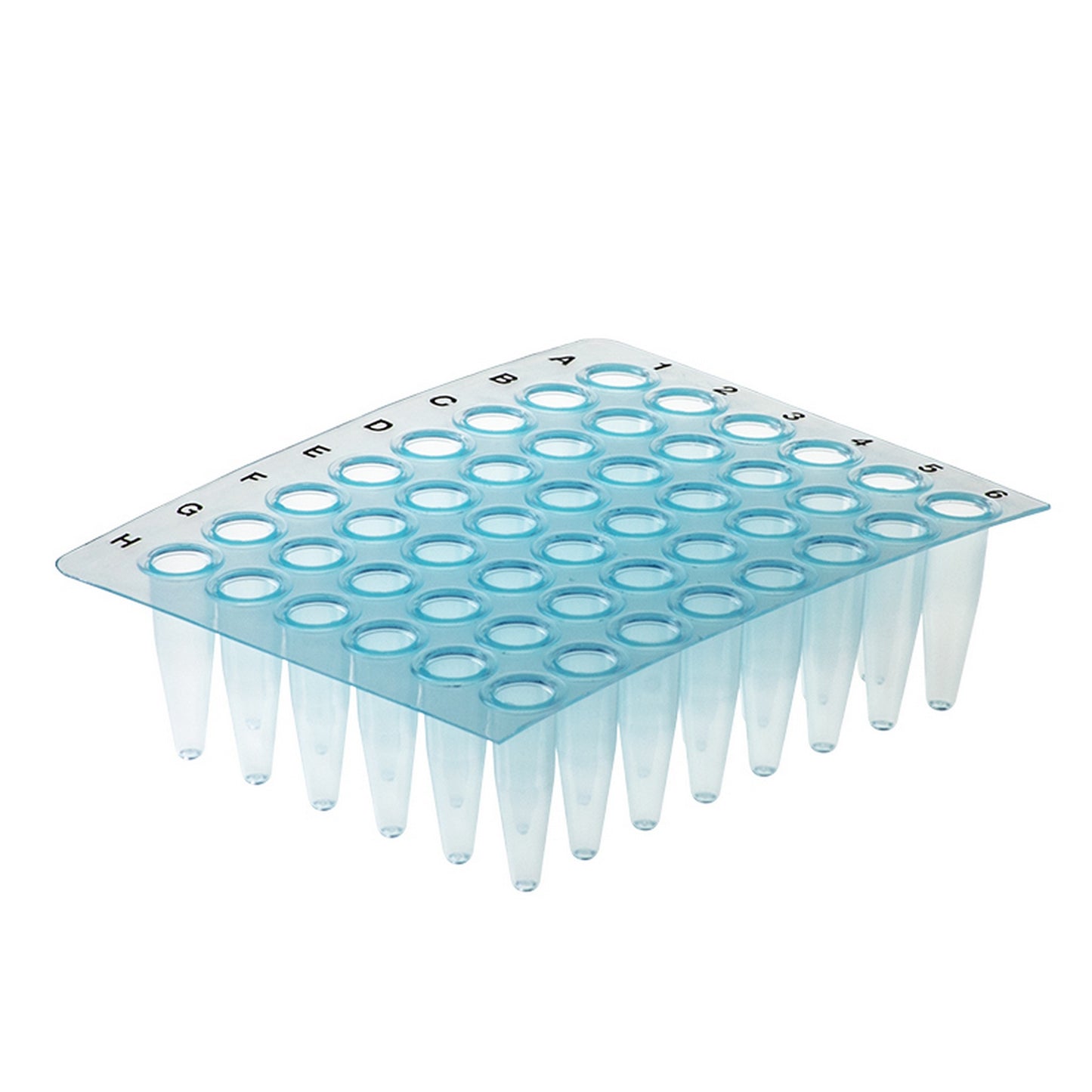 AMPLATE™ Thin wall PCR plates (non-skirted) : Plate Colors - Blue, Wells - 48