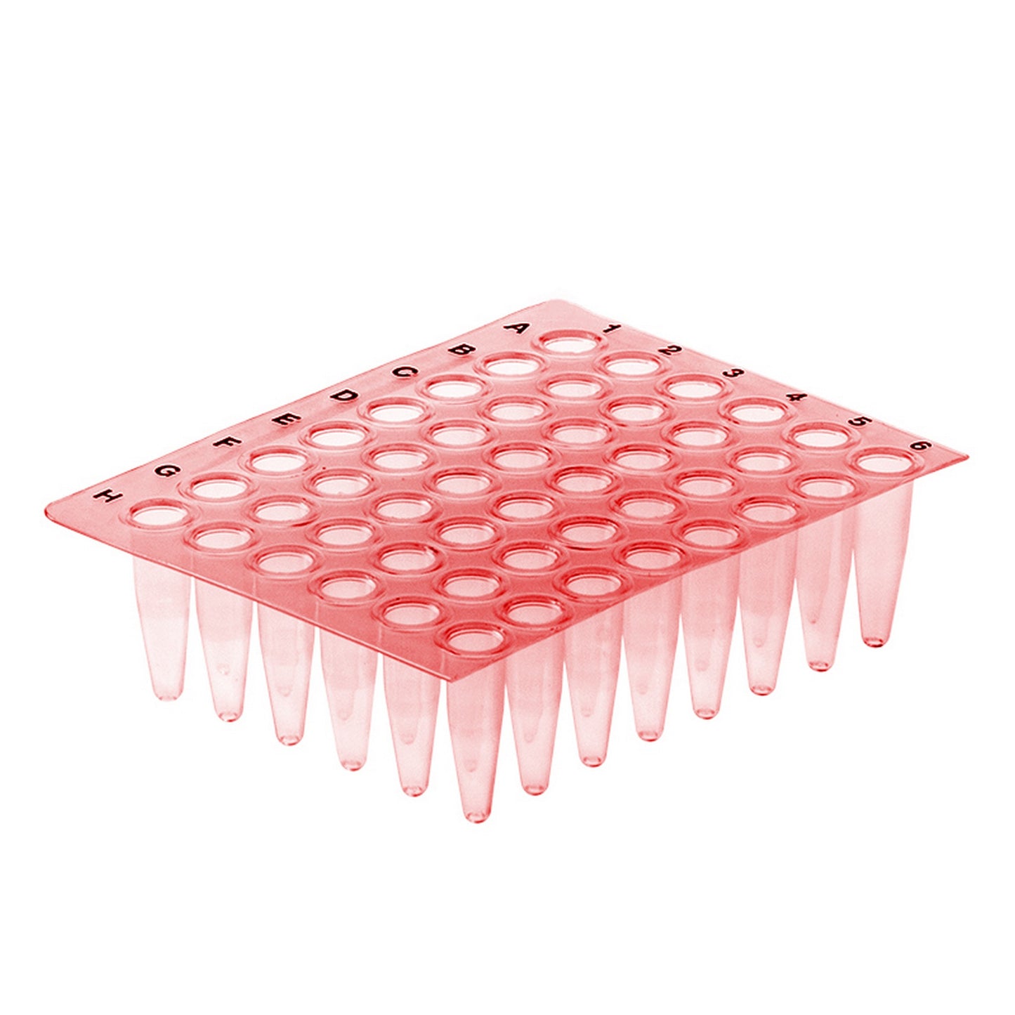 AMPLATE™ Thin wall PCR plates (non-skirted) : Plate Colors - Red, Wells - 48
