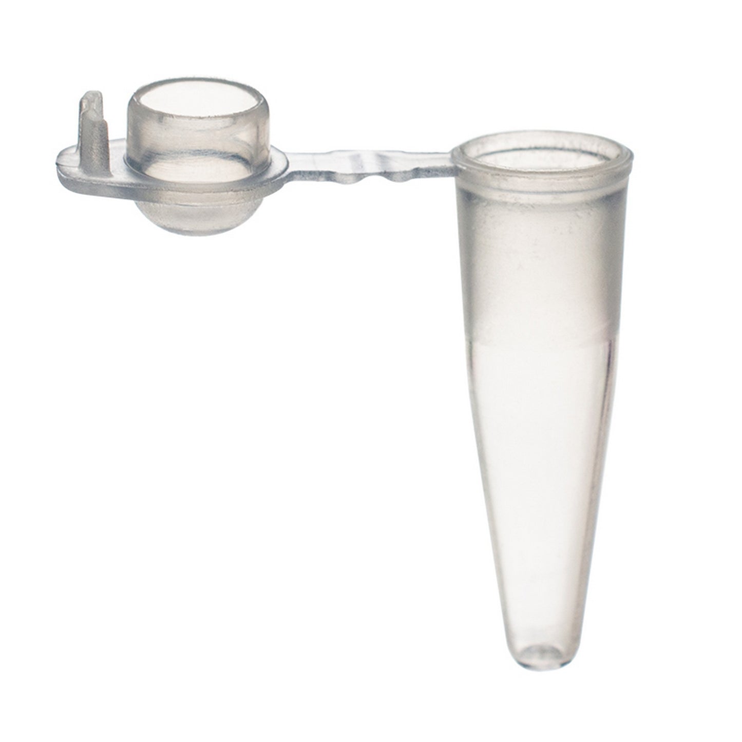 Amplitube™  with Integral Shield for 0.2 ml tubes : Caps - Domed, Tube Colors - Natural