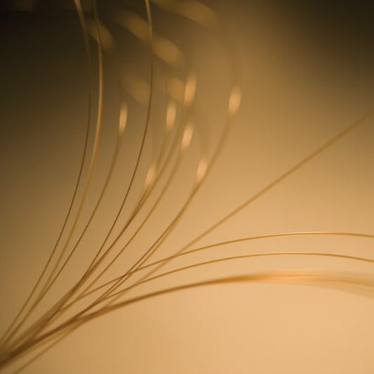 GuardGOLD™ Capillary Column, 2 m x 0.32 mm