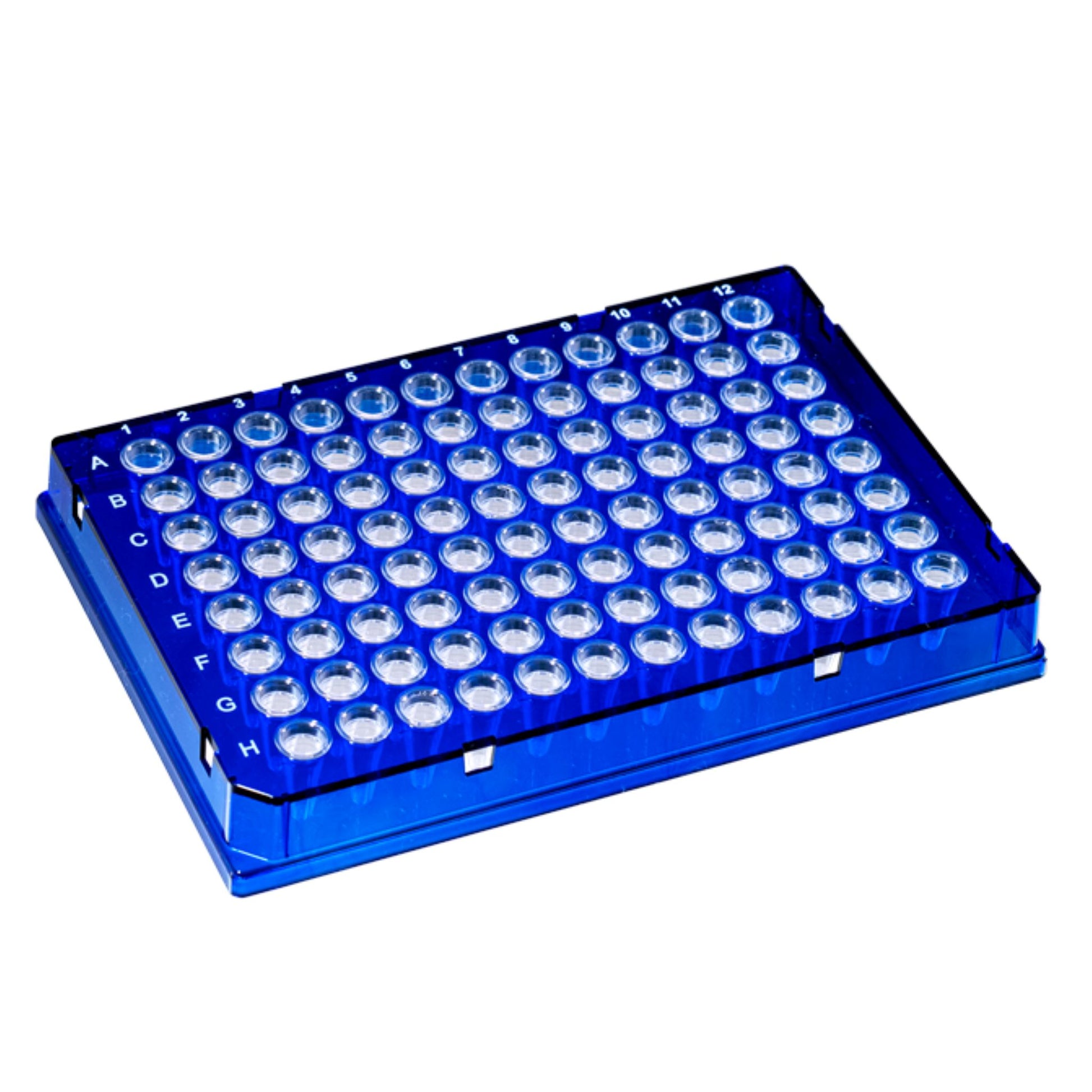 Image of US14025101 - TempPlate® Rigid Dual-Component PCR 96-well Plates, 0.1 mL, Full Skirted, Blue Frame/Clear Wells