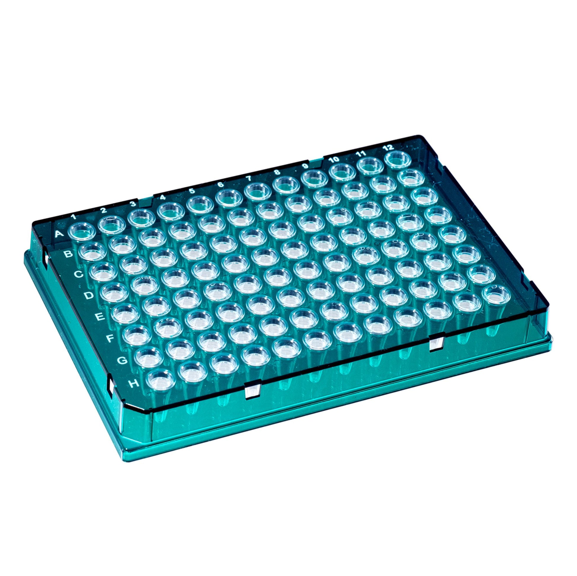 Image of US14025102 - TempPlate® Rigid Dual-Component PCR 96-well Plates, 0.1 mL, Full Skirted, Green Frame/Clear Wells