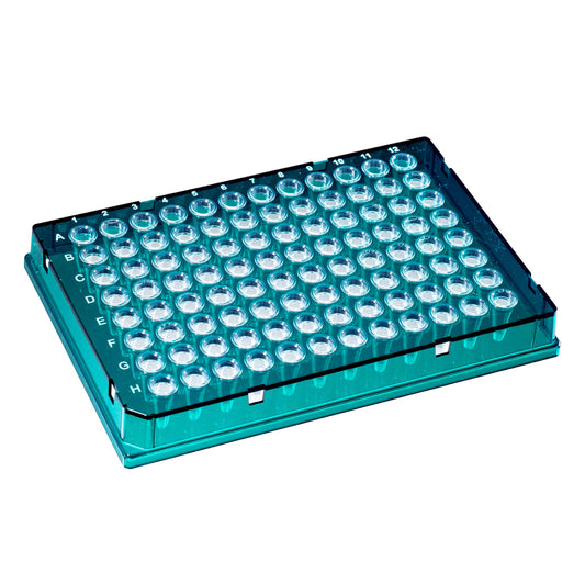 TempPlate® Rigid Dual-Component PCR 96-well Plates, 0.1 mL, Full Skirted, Green Frame/Clear Wells, 10/pk