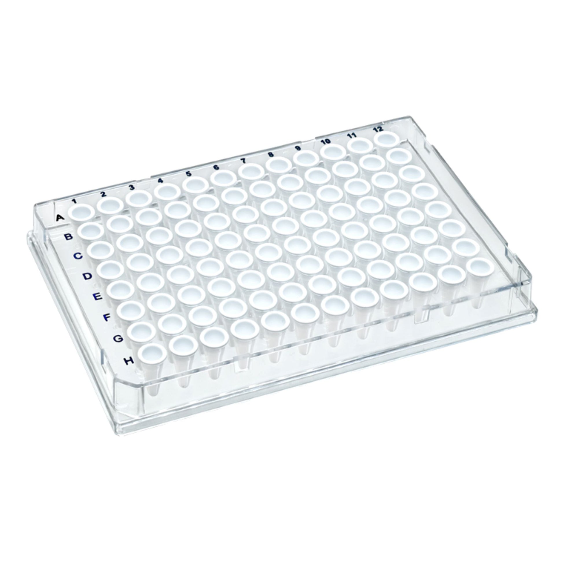 Image of US14025190 - TempPlate® Rigid Dual-Component PCR 96-well Plates, 0.1 mL, Full Skirted, Clear Frame/White Wells