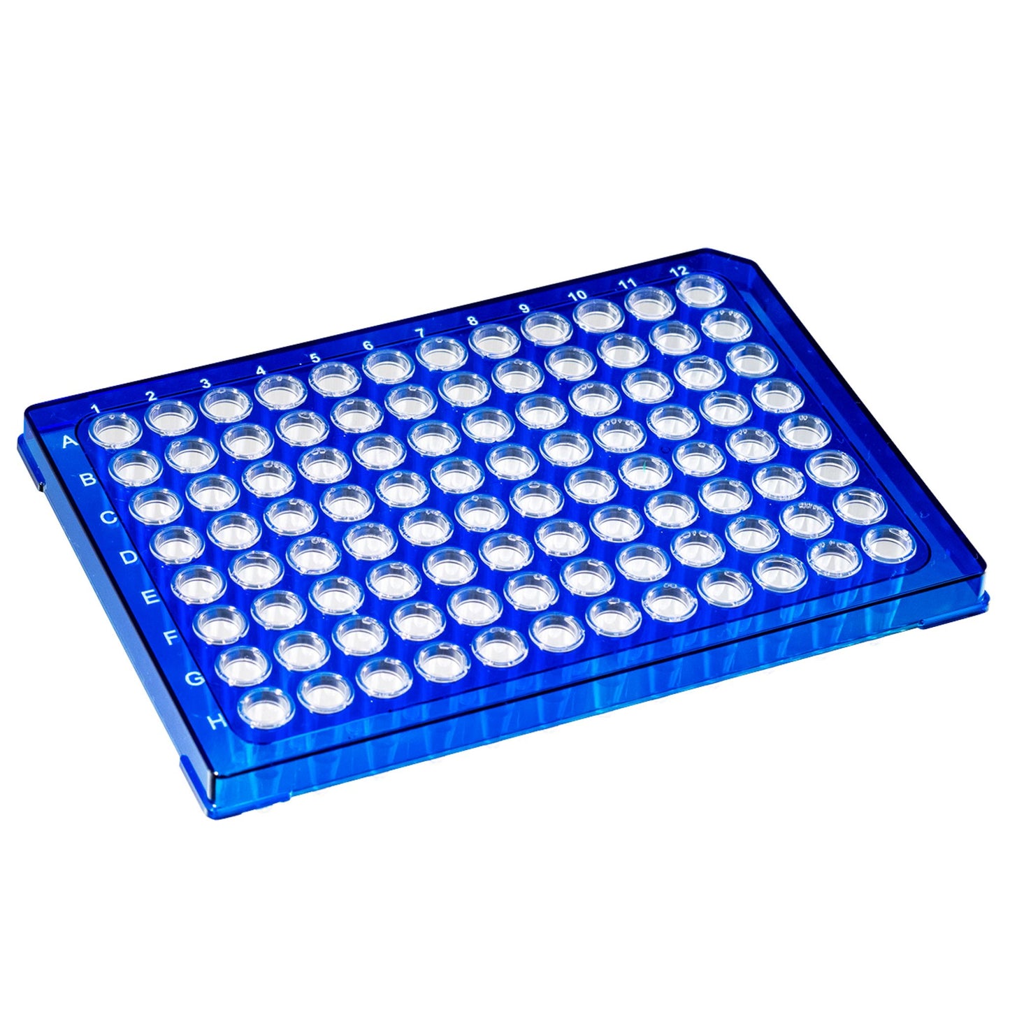Image of US14025201 - TempPlate® Rigid Dual-Component PCR 96-well Plates, 0.2 mL, Semi-Skirted, Blue Frame/Clear Wells
