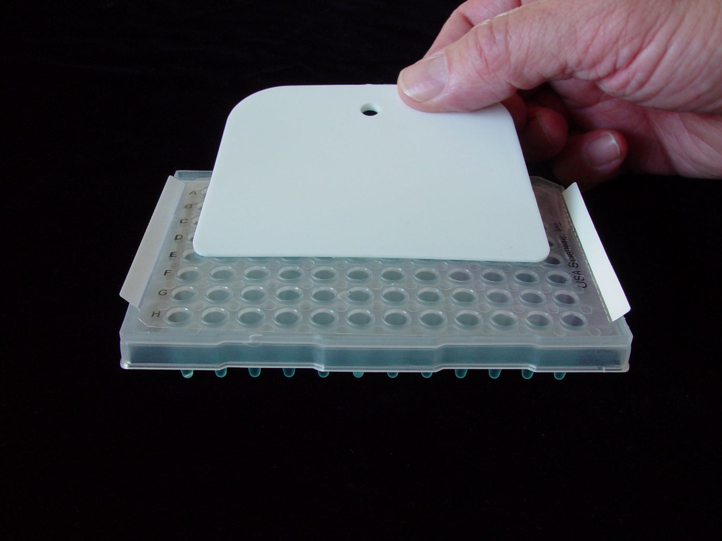 TempPlate® XP Inset Cut Polyester Plate Sealing Film with Extra Strong Adhesive, Non-Sterile, 100/Box