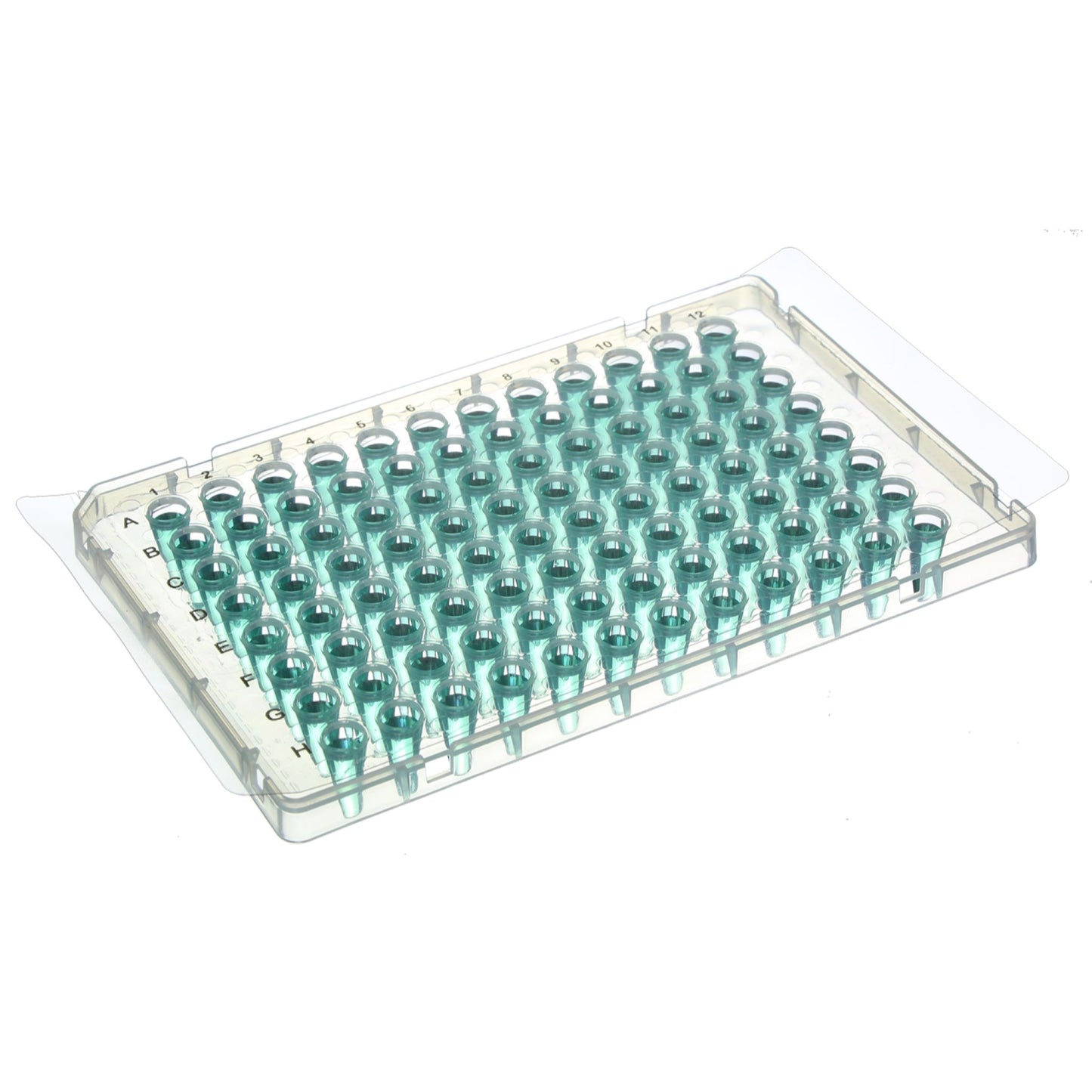 TempPlate® RT qPCR Optically Clear Polyester Sealing Film, Standard Cut, Non-Sterile, 100/Box