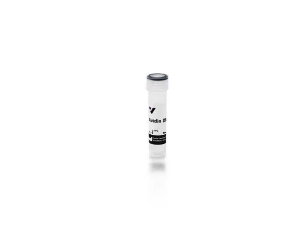 Image of VECTA3100 - Avidin DN