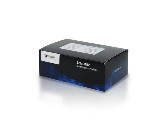 Antibody–Oligonucleotide All-in-One™ Conjugation Kit
