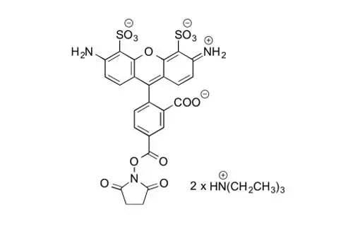 AZDye 488 NHS Ester - 25 mg