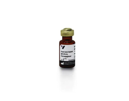 Anti-Rabbit IgG (H+L), made in goat, Unconjugated, 1.5mg