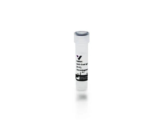 Anti-Goat IgG (H+L), made in rabbit, Unconjugated, 1.5mg